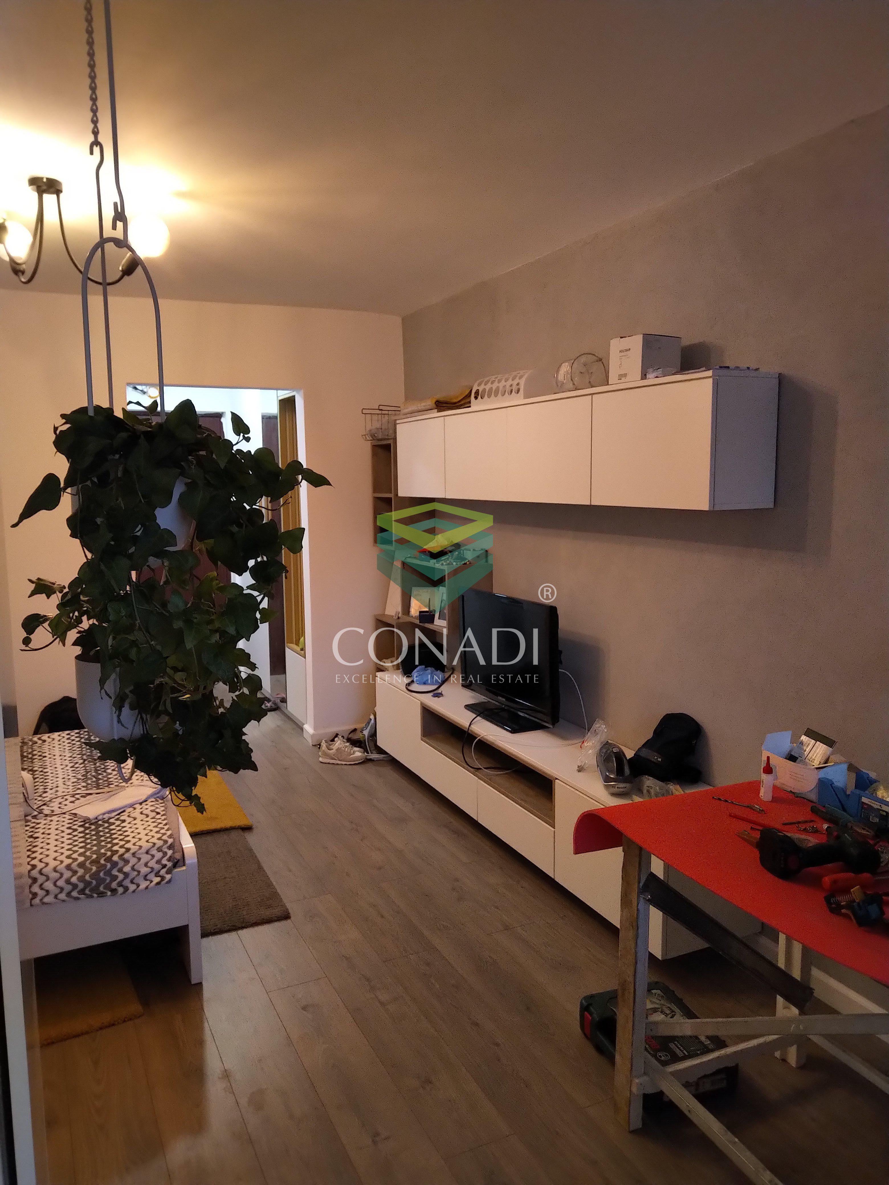 We are renting an ultramodern renovated studio on Nada Florilor street - Teiul Domnei